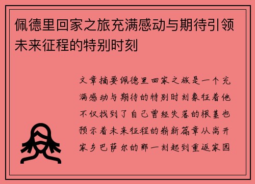 佩德里回家之旅充满感动与期待引领未来征程的特别时刻