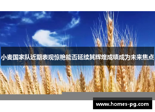 小麦国家队近期表现惊艳能否延续其辉煌成绩成为未来焦点