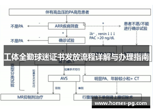 工体全勤球迷证书发放流程详解与办理指南