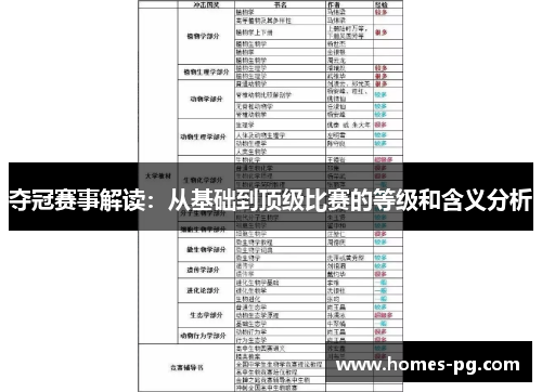 夺冠赛事解读：从基础到顶级比赛的等级和含义分析