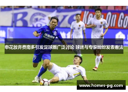 申花放弃费南多引发足球圈广泛讨论 球迷与专家纷纷发表看法