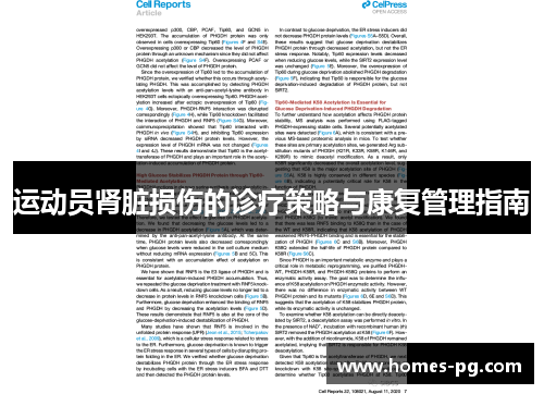 运动员肾脏损伤的诊疗策略与康复管理指南 运动员肾脏损伤的诊疗策略与康复管理指南