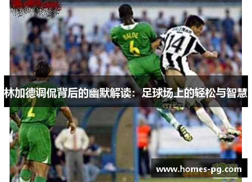 林加德调侃背后的幽默解读:足球场上的轻松与智慧 林加德调侃背后的幽默解读:足球场上的轻松与智慧