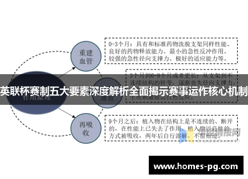英联杯赛制五大要素深度解析全面揭示赛事运作核心机制